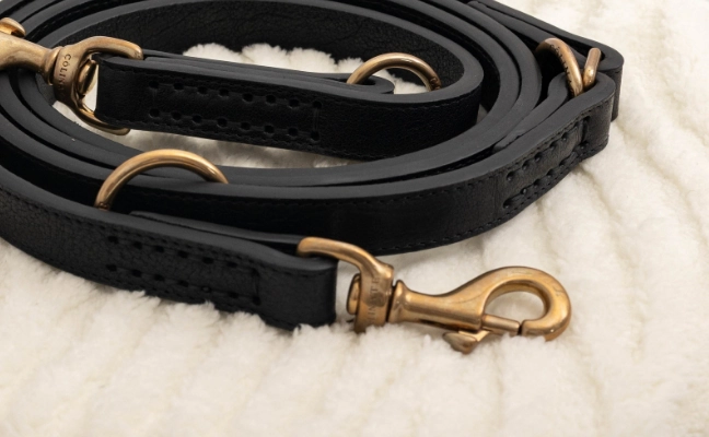 ペット用リード